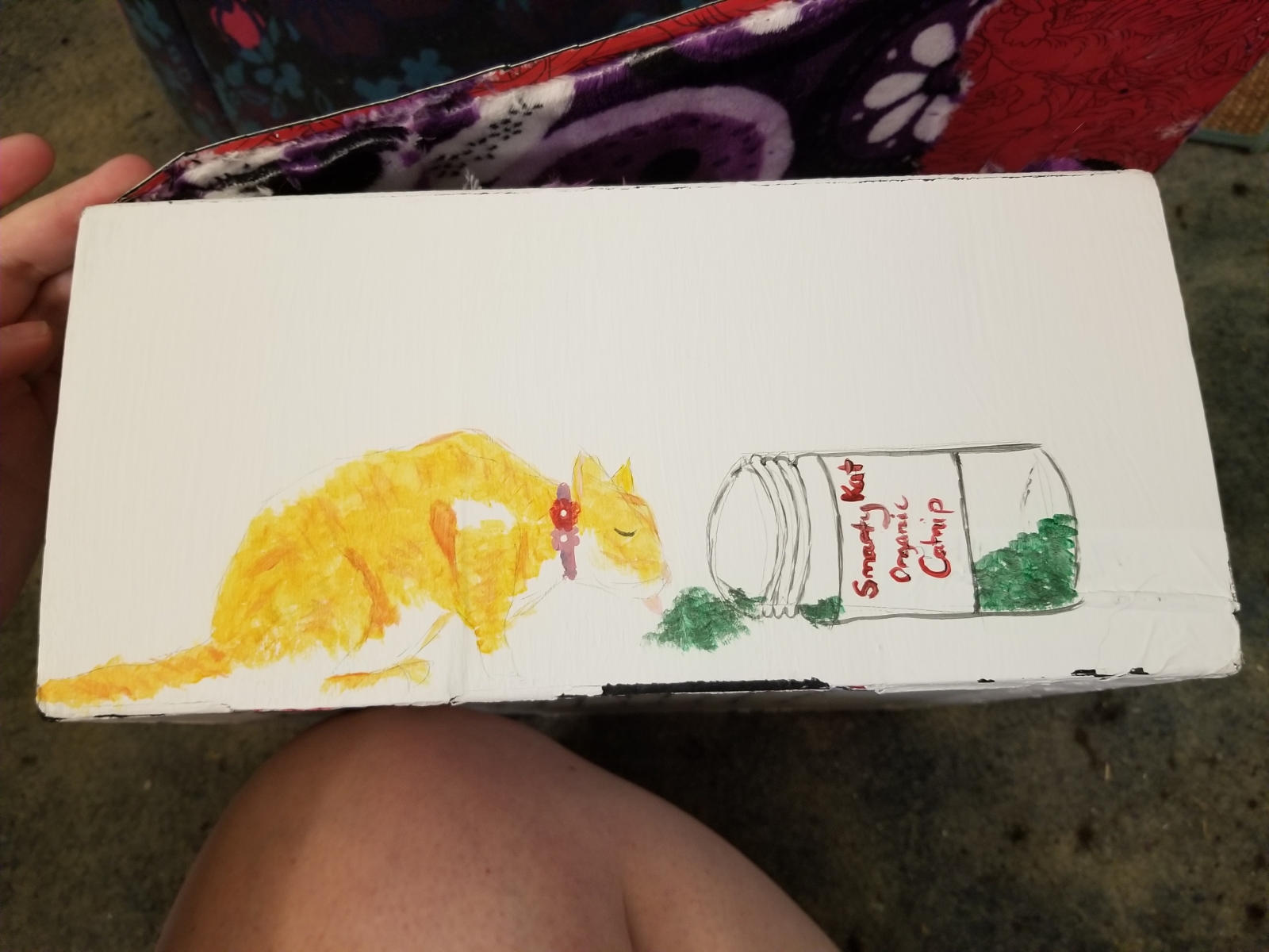 Catnip